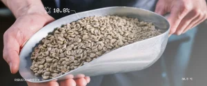 Mengapa Mengukur Kadar Air dalam Biji Kopi Penting?