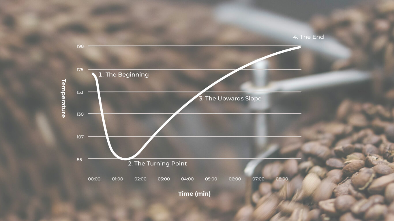 Understanding The Coffee Roasting Curve Berto Coffee Roaster