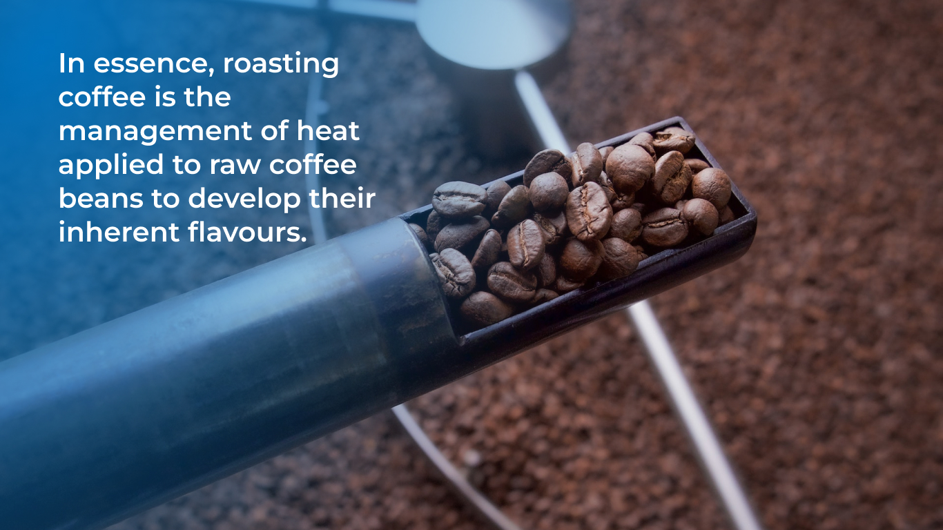 Conduction vs. Convection in Coffee Roasting Berto Coffee Roaster