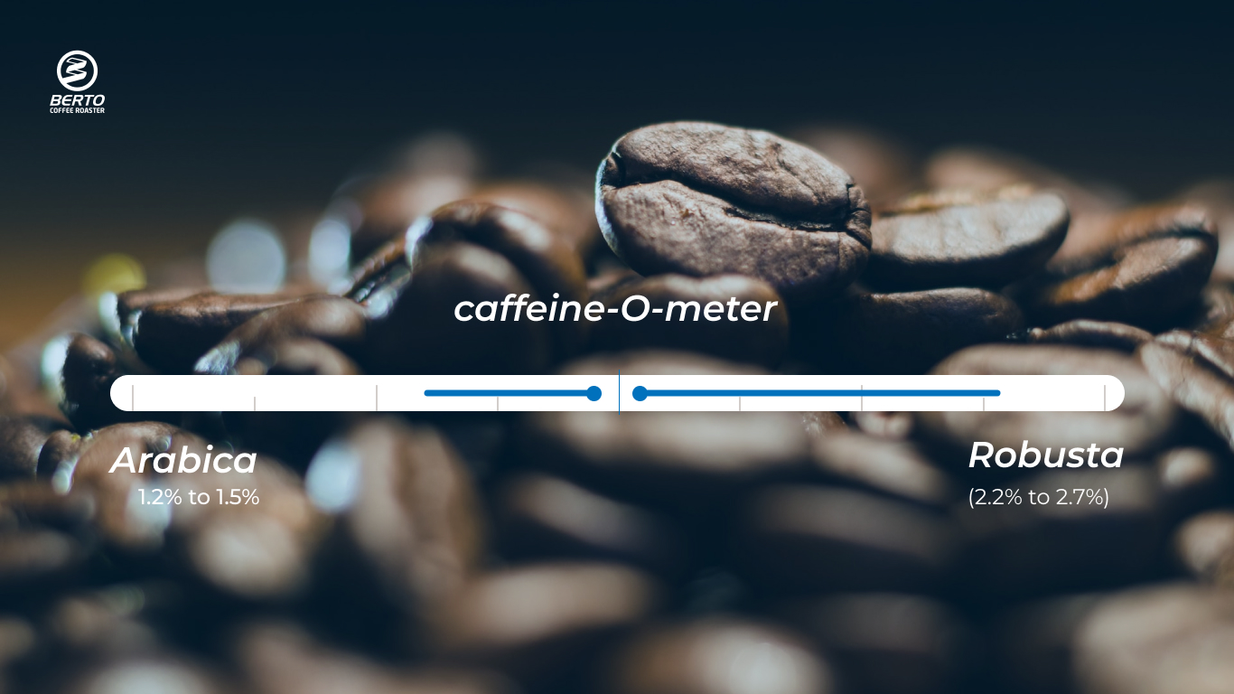Which Coffee Roast Has the Most Caffeine? - Berto Coffee Roaster