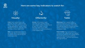 Coffee Roasting 101: Identifying and Avoiding Over-Roasted Beans