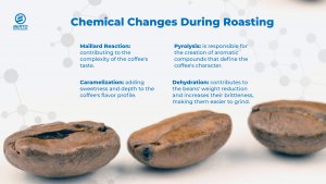 Chemical Changes During Roasting