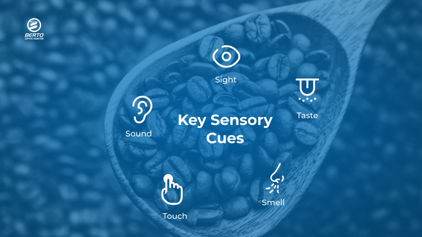 Sensory Coffee Roasting Fine Tuning Your Senses Berto Coffee Roaster