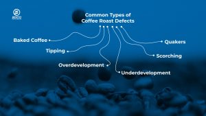 Common Types of Coffee Roast Defects