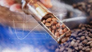 Coffee Roasting Curve