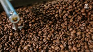 Not all coffee roasters are built the same. Your roaster machine choice affects heat, batch size, and flavor.