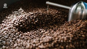 Mastering coffee roasting techniques unlocks complex, aromatic, and rewarding flavors from high-altitude coffee.
