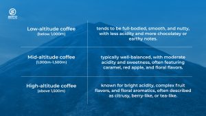 Infographic table on altitude and coffee, highlighting flavor profiles at different elevations.