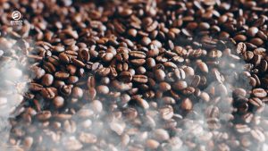 Freshly roasted coffee beans releasing CO₂ during the cooling and resting phase.