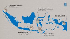 Map of Indonesian coffee origins across Sumatra, Bali, Flores, Sulawesi, and Papua.