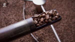 Coffee beans roasting in a hot air roaster, showing how airflow and fan speed influence movement and flavor development.