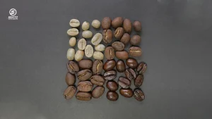 Coffee beans are displayed in light, medium, and dark brown to show how color develops through roasting.