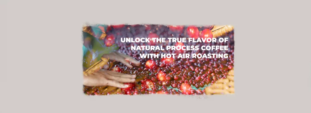 Coffee cherries drying on raised beds, illustrating natural process coffee and hot air roasting for better flavor control.