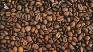 Close-up view of freshly roasted light roast coffee beans with their light brown color.