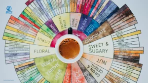 Floral, honey, malty, and chocolate aroma notes formed by Strecker aldehydes during coffee roasting.