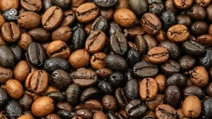 Color differences in roasted coffee beans, which indicate an uneven roast.
