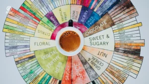 SCAA Coffee Taster’s Flavour Wheel showing different coffee tasting notes.