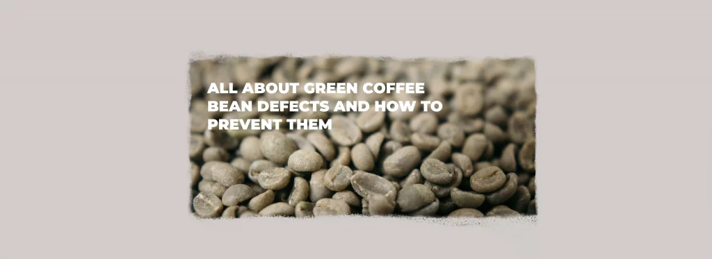 Green coffee beans showing visible defects, illustrating how bean quality affects roasting results.